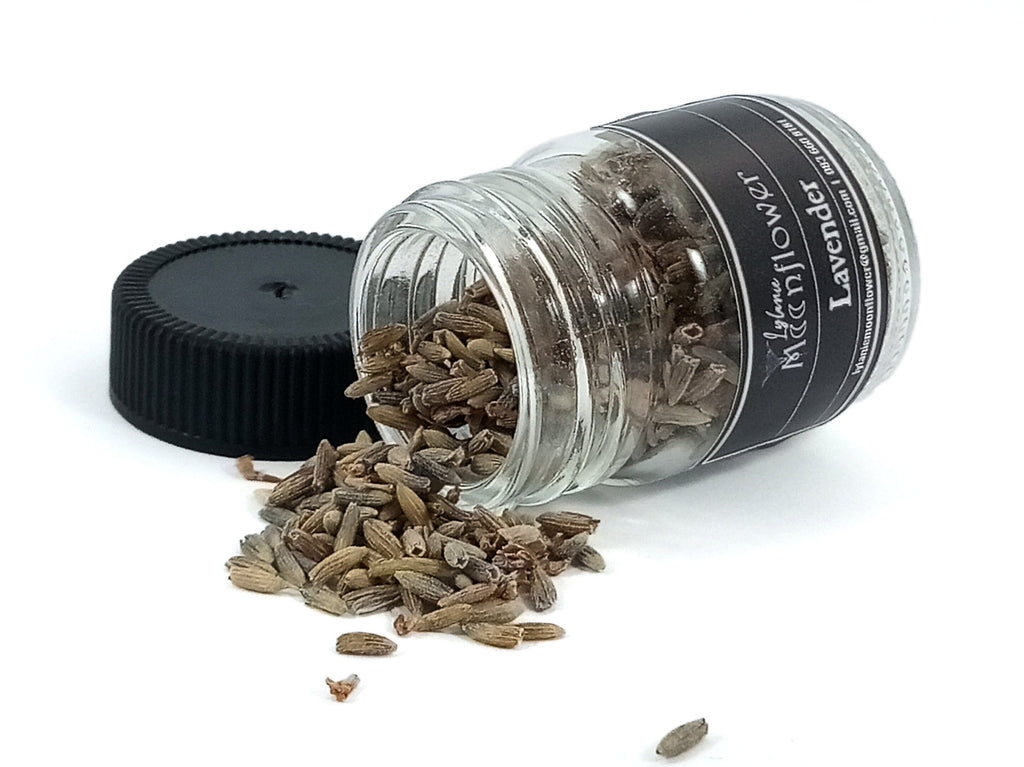 Botanical Intentions kit - Lavender & Jasmine Herbal Infusion - Moon Oracle Lylanie Moonflower